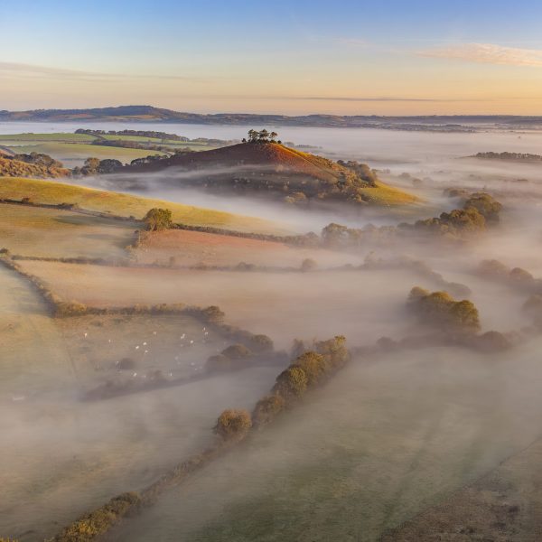 A misty Colmer's Hill square canvas