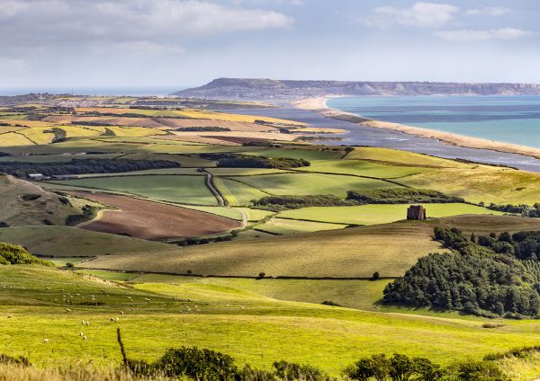 Pastel coast road view from Abbotsbury